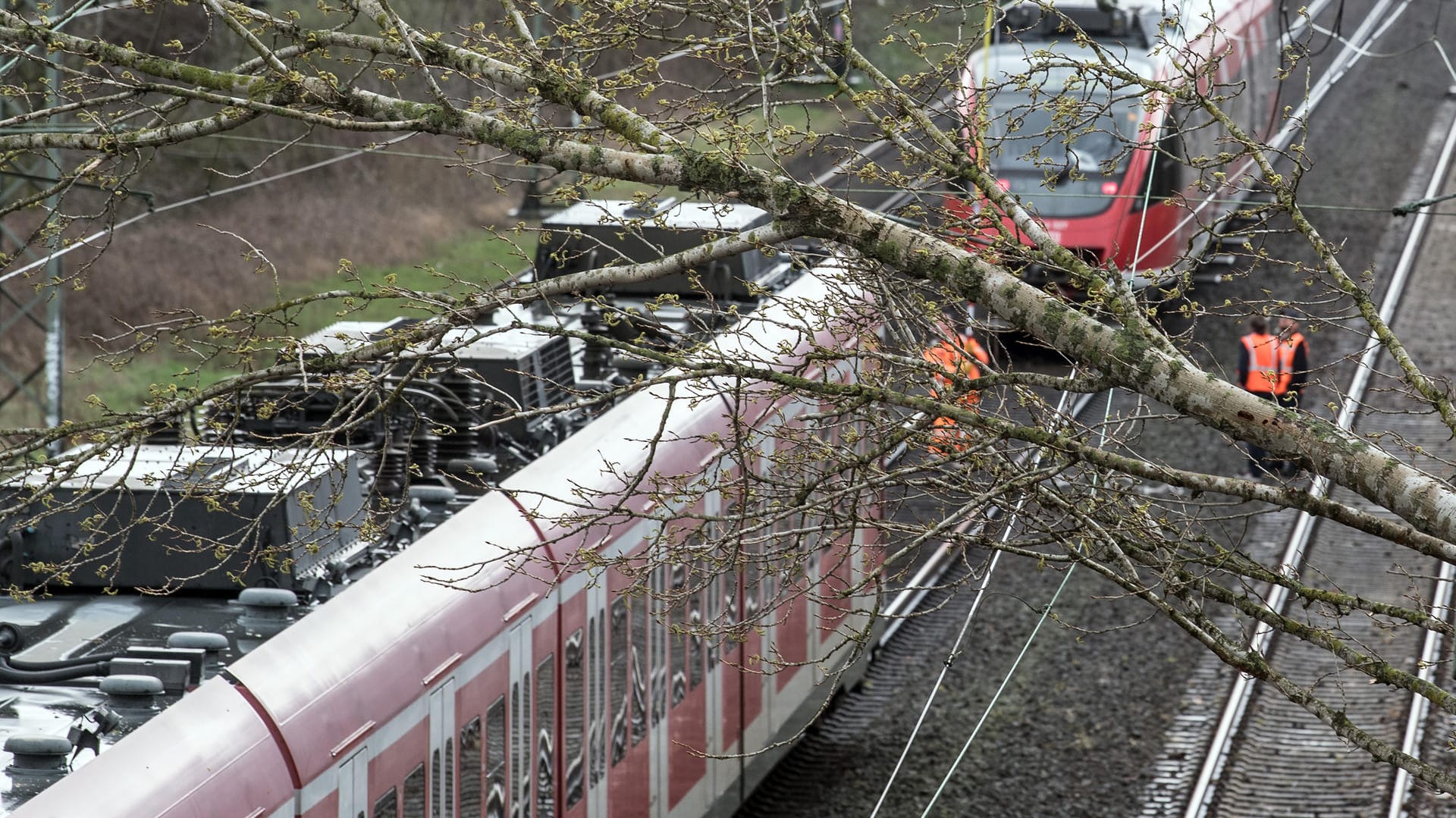 Ein umgestürzter Baum liegt auf einer Oberleitung einer Bahnstrecke bei Dormagen. Nach Sturmtief «Eberhard» müssen Bahnreisende in NRW am Montag weiter mit Einschränkungen, Ausfällen und verspäteten Zügen rechnen.