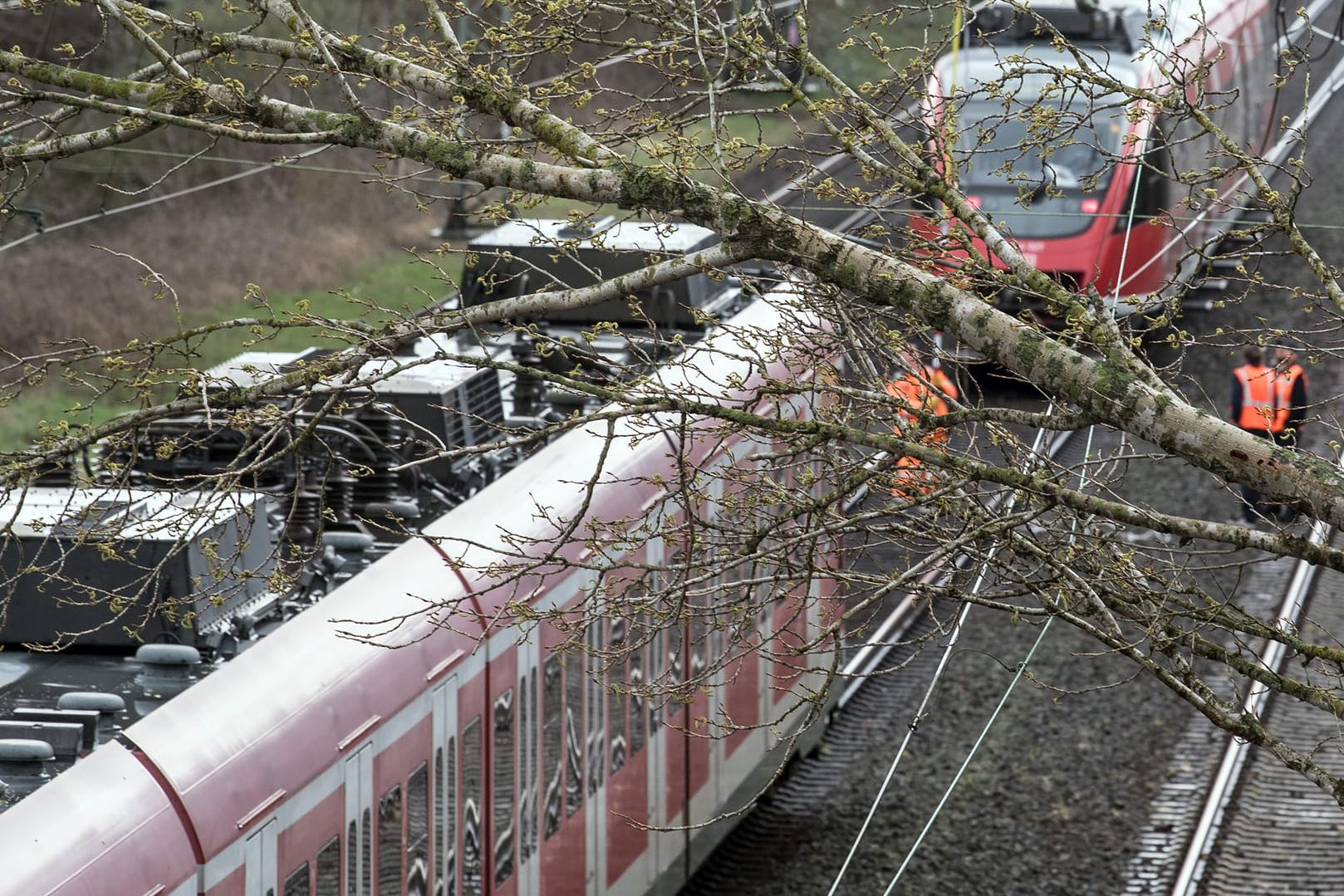 Ein umgestürzter Baum liegt auf einer Oberleitung einer Bahnstrecke bei Dormagen. Nach Sturmtief «Eberhard» müssen Bahnreisende in NRW am Montag weiter mit Einschränkungen, Ausfällen und verspäteten Zügen rechnen.