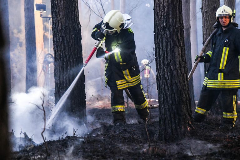 Feuerwehrleute löschen am Ostermontag einen Waldbrand bei Berlin: Die Waldbrandgefahr ist aktuell vielerorts sehr hoch – Schuld sind jedoch nicht die sommerlichen Temperaturen.