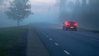 Sicher durch den Herbst: Was Autofahrer im Nebel beachten..