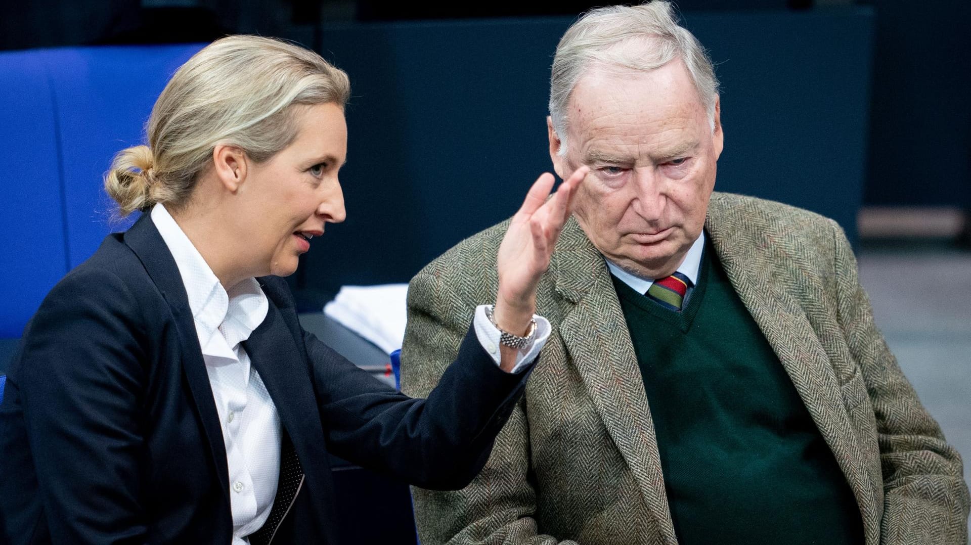 Fraktionsvorsitzende der AfD, Alice Weidel und AfD-Chef Alexander Gauland: In seiner Rede bezeichnete er die Klimapolitik der Bundesregierung als gescheitert.