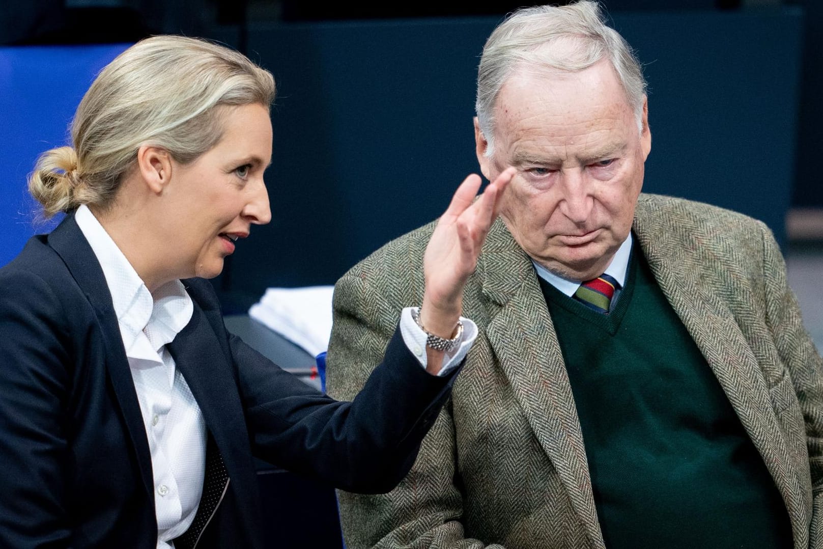 Fraktionsvorsitzende der AfD, Alice Weidel und AfD-Chef Alexander Gauland: In seiner Rede bezeichnete er die Klimapolitik der Bundesregierung als gescheitert.