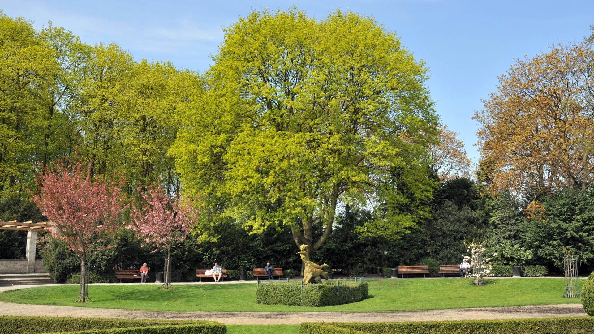 Der Rosengarten im Volkspark Humboldthain: Auf der großen Wiese können sich Kinder und Hunde austoben.