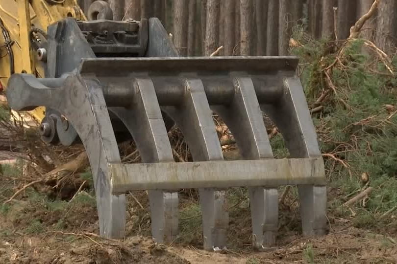 Auf dem Gelände, auf dem das Tesla-Werk entstehen soll, ruht die Arbeit.