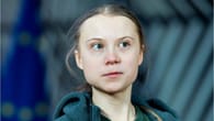 Greta Thunberg: Darum ist das Coronavirus entstanden
