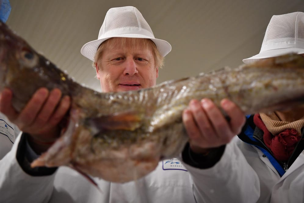 Boris Johnson beim Wahlkampf 2019 im Grimsby Fischmarkt mit einem Dorsch: Die Fischereirechte sind zu einem Stolperstein bei den Verhandlungen über einen Brexit-Handelspakt geworden.