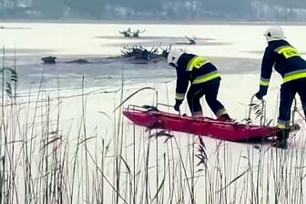 Zahlreiche Hirsche mussten gerettet werden.