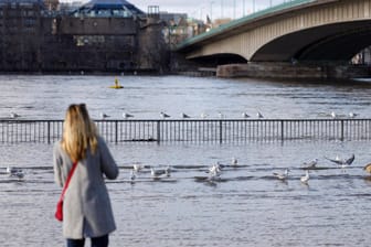 Eine Frau steht am Ufer: In Köln soll der Rheinpegel wieder sinken.