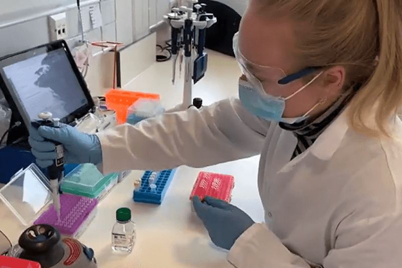 Mutationen breiten sich aus: Dänemark, Holland und Großbritannien sind Vorreiter bei der genomischen Sequenzierung von Covid-Fällen.