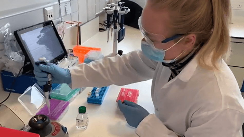 Mutationen breiten sich aus: Dänemark, Holland und Großbritannien sind Vorreiter bei der genomischen Sequenzierung von Covid-Fällen. Mutationen breiten sich aus: Dänemark, Holland und Großbritannien sind Vorreiter bei der genomischen Sequenzierung von Covid-Fällen.