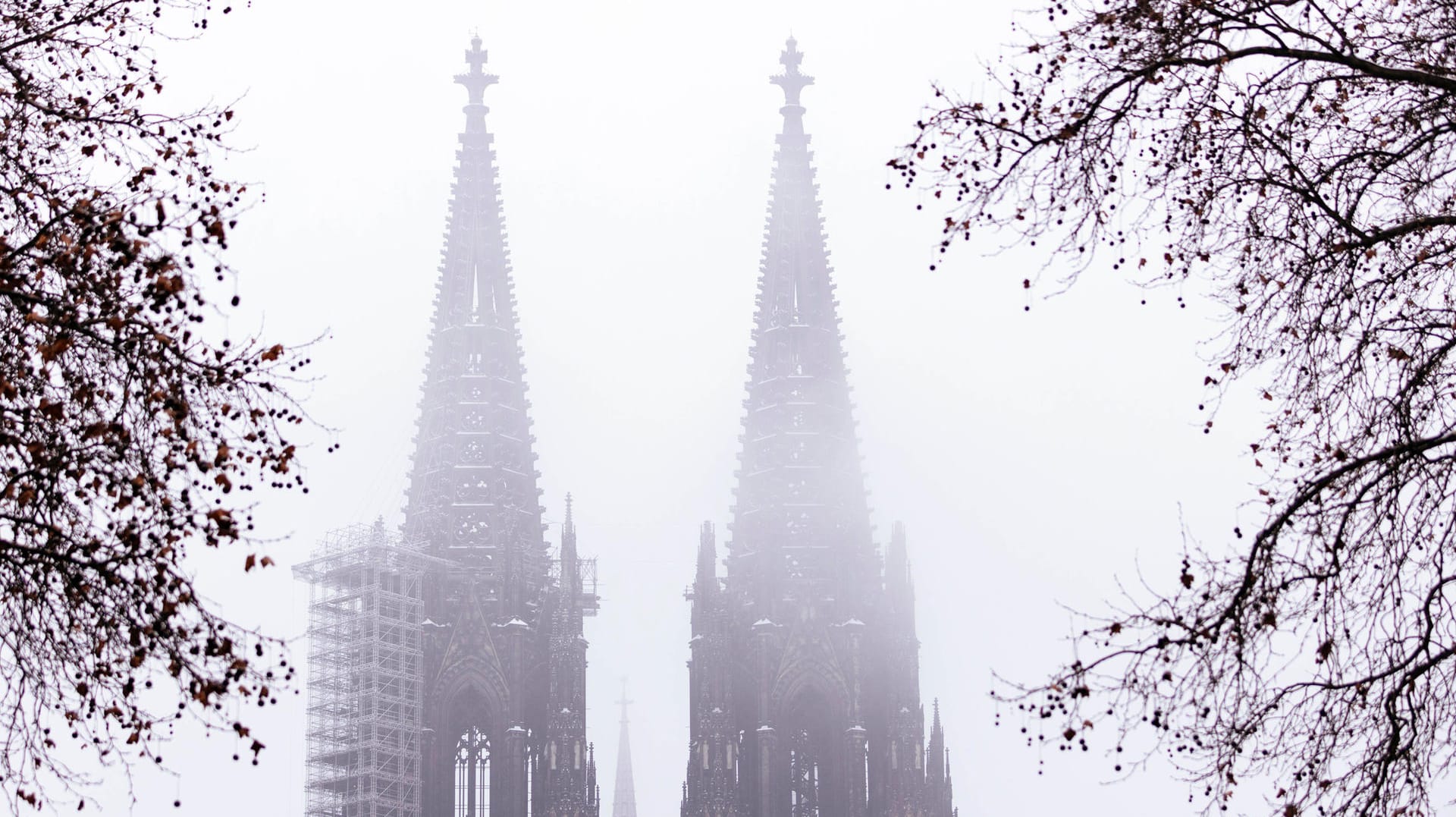 Der Kölner Dom im Nebel (Archivbild): Besonders die katholische Kirche steht massiv in der Kritik. Doch mit einer Erneuerung kann sie sich selbst heilen.