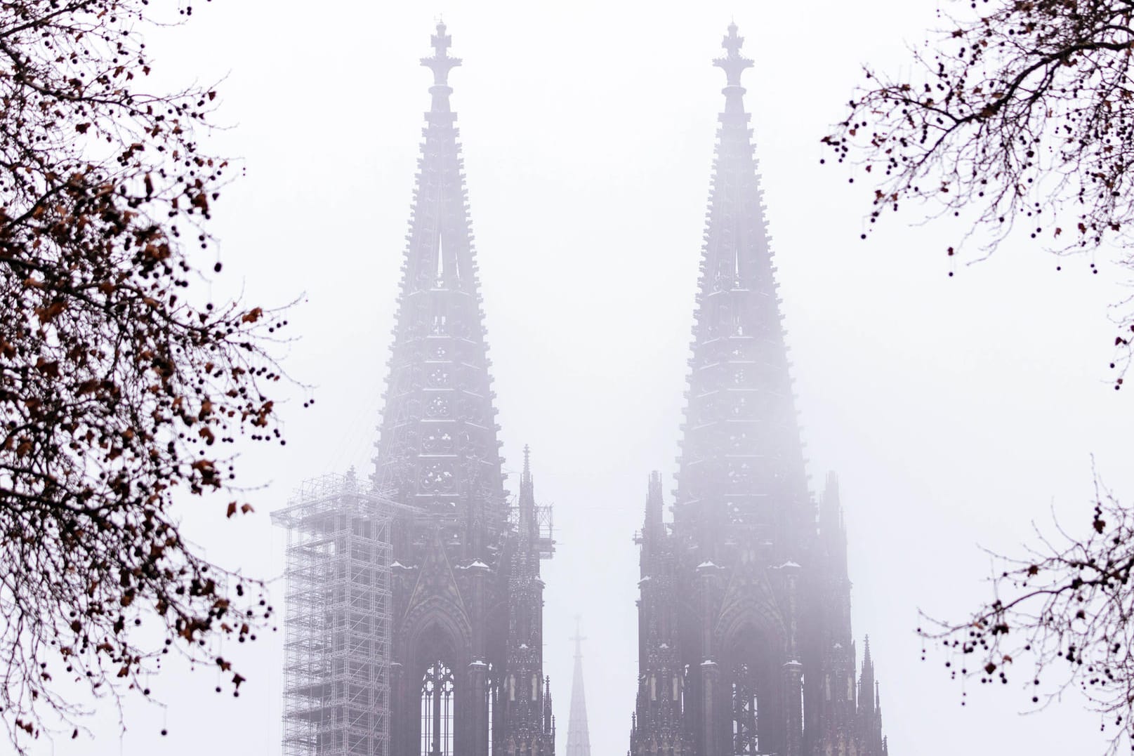 Der Kölner Dom im Nebel (Archivbild): Besonders die katholische Kirche steht massiv in der Kritik. Doch mit einer Erneuerung kann sie sich selbst heilen.