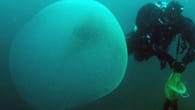 Forscher lösen Rätsel um Meeresblasen 