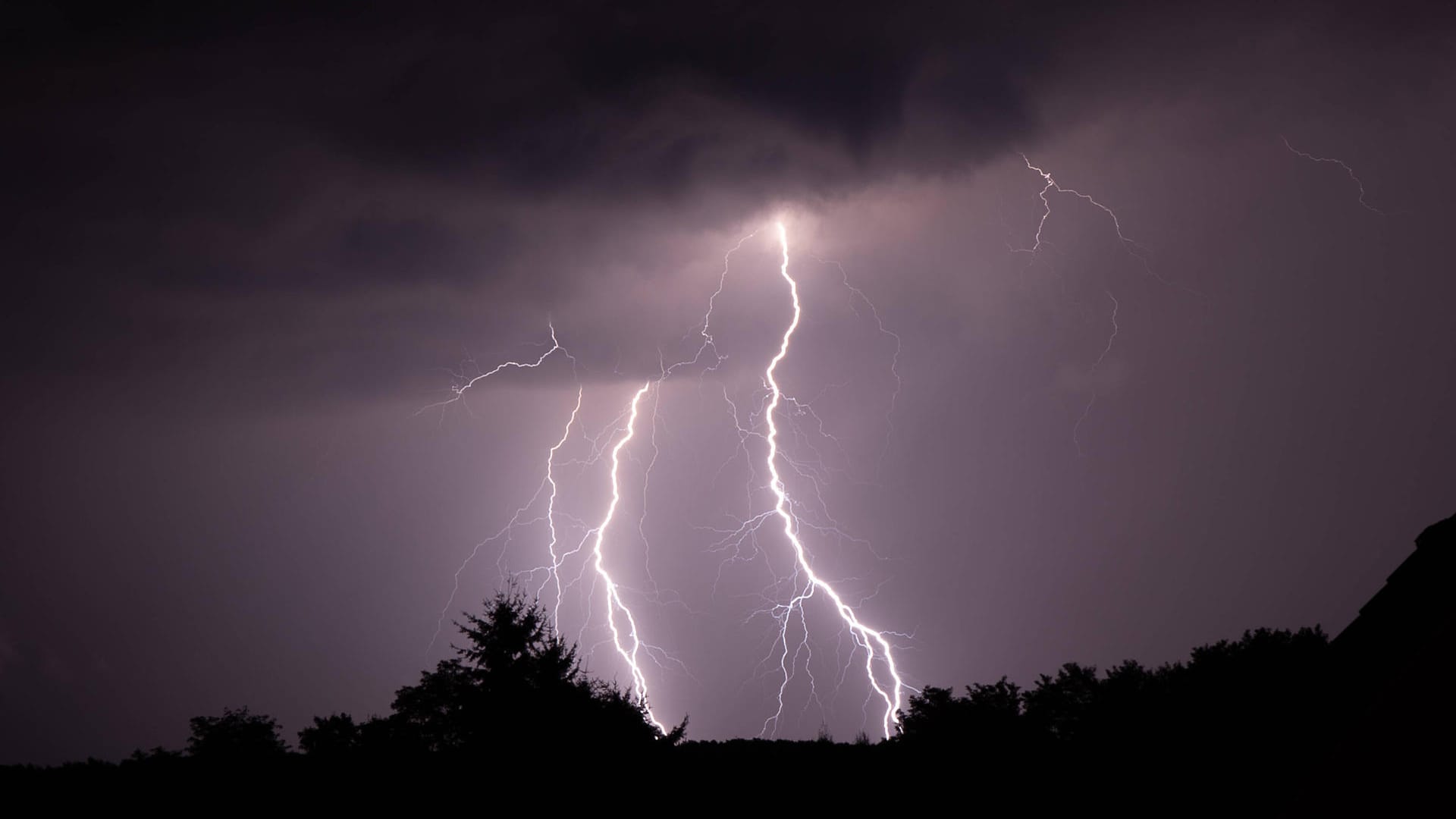 Blitze eines Gewitters (Archivbild): Ein Unwetter sorgte in Köln für viele Feuerwehreinsätze.