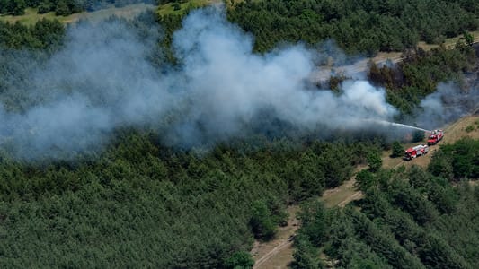 Brandenburg: Waldbrand wird aus der Luft gelöscht