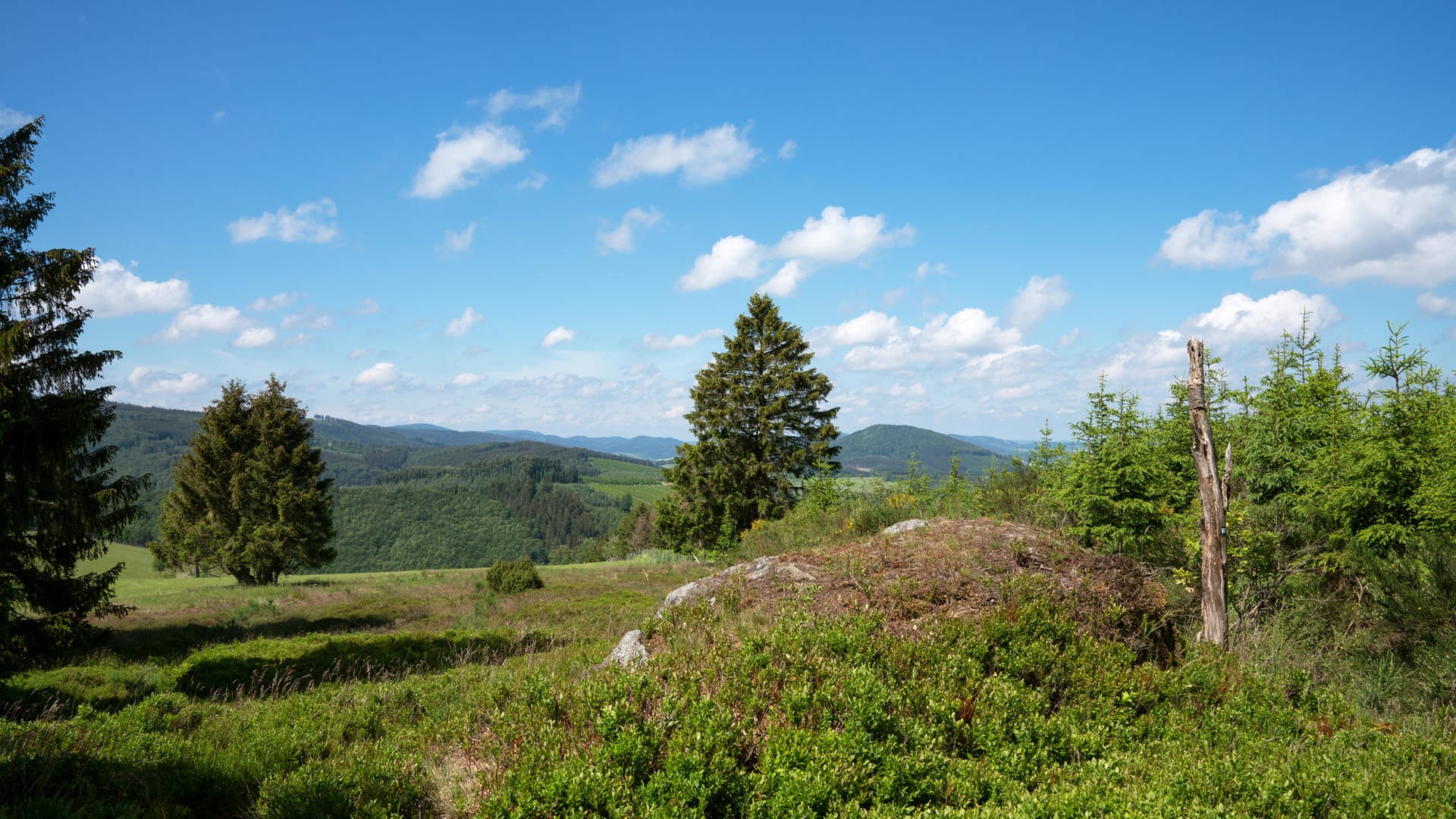 Urlaub im Sauerland: Für ein ganzes Wochenende zu zweit zahlen Sie ab 99 Euro.