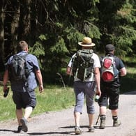 Wanderwege: 200.000 Kilometer können in Deutschland zurückgelegt werden.