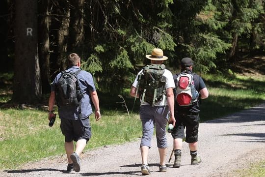 Wanderwege: 200.000 Kilometer können in Deutschland zurückgelegt werden.