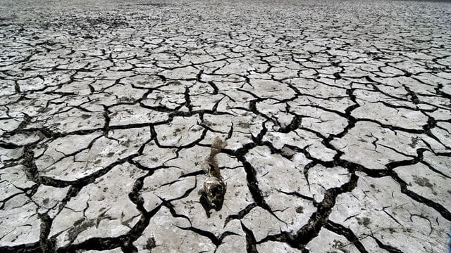 Ein vertrockneter Erdboden (Symbolbild): 2020 war laut der Wissenschaftler das zweitheißeste Jahr seit Beginn der Aufzeichnungen.