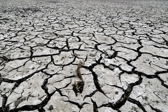 Ein vertrockneter Erdboden (Symbolbild): 2020 war laut der Wissenschaftler das zweitheißeste Jahr seit Beginn der Aufzeichnungen.