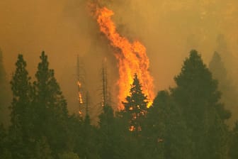 Western Wildfires