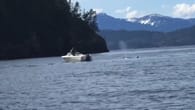 Kleine Motorboote geraten in gefährliche Orca-Jagd