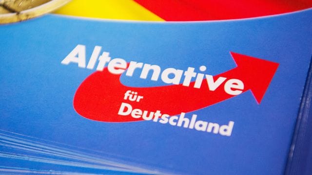 Flyer der AfD sollen im Wahlkampf nicht verteilt worden sein. Flyer der AfD sollen im Wahlkampf nicht verteilt worden sein.