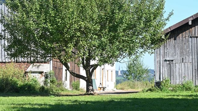 Hof in der Gemeinde Schechen, auf dem nach Angaben der Behörden eine nicht genehmigte Schule untergebracht war.