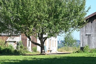 Hof in der Gemeinde Schechen, auf dem nach Angaben der Behörden eine nicht genehmigte Schule untergebracht war.