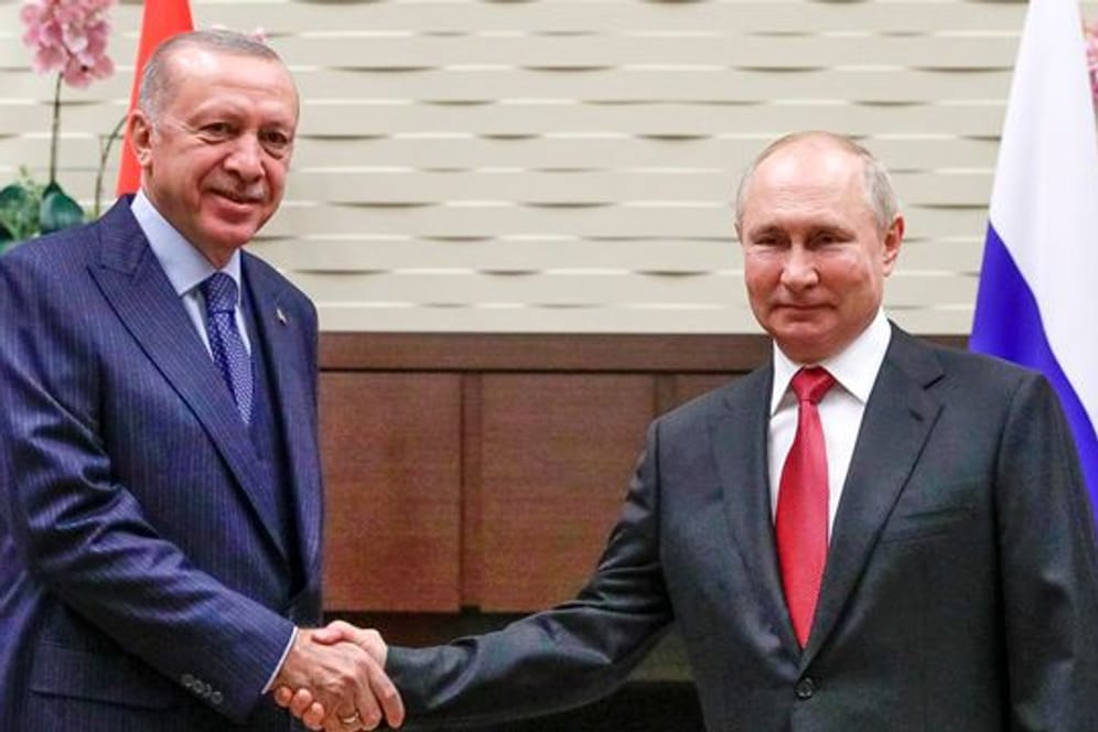 Handschlag: Wladimir Putin (r) und Recep Tayyip Erdogan in der russischen Staatsresidenz Bocharov Ruchey.