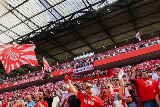 Bis zu 40.