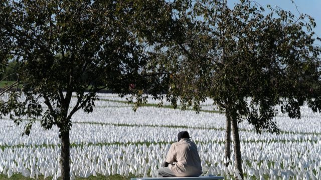 Ein Besucher sitzt auf einer Bank und betrachtet die von der Künstlerin Suzanne Brennan Firstenberg geschaffene Installation "In America: Remember" in Washington DC. Ein Besucher sitzt auf einer Bank und betrachtet die von der Künstlerin Suzanne Brennan Firstenberg geschaffene Installation "In America: Remember" in Washington DC.