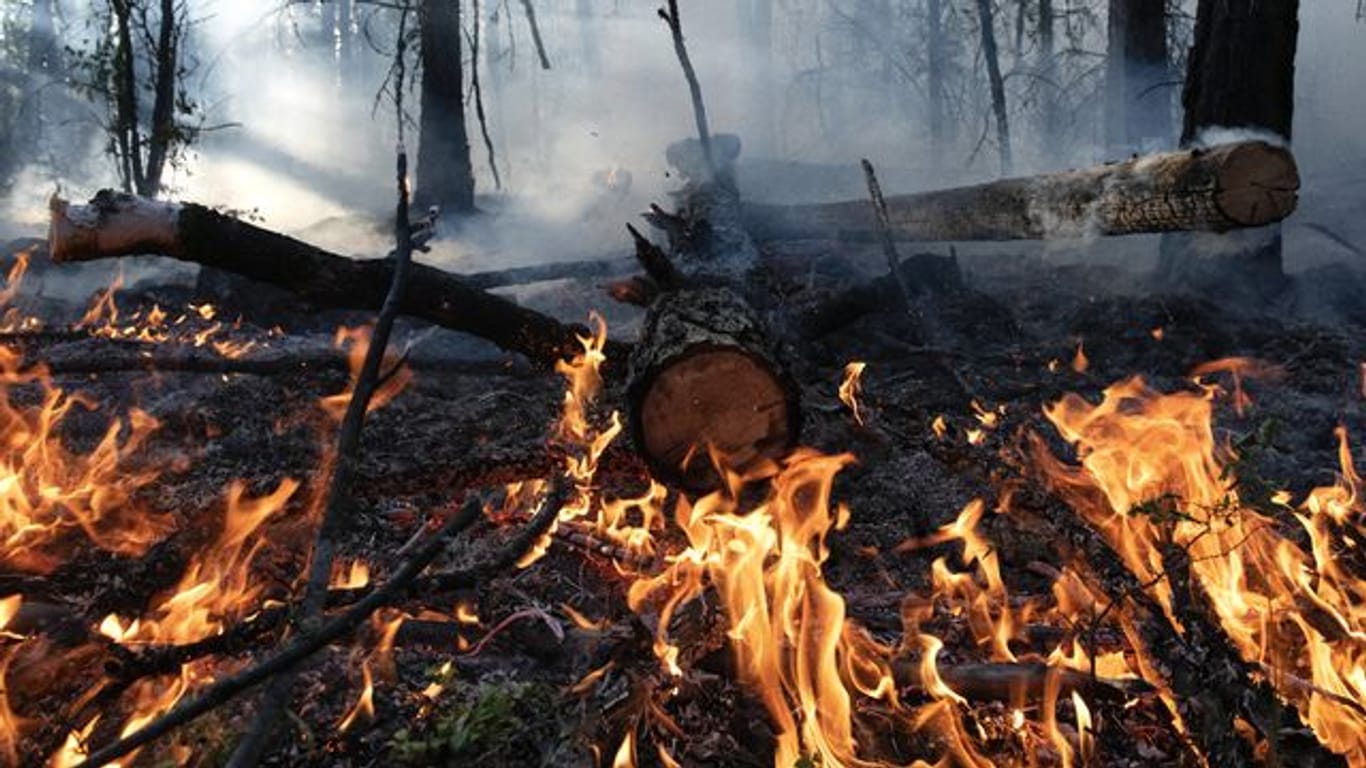 Waldbrand im August im Gebiet Gorny Ulus (Jakutien).