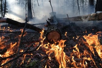Waldbrand im August im Gebiet Gorny Ulus (Jakutien).