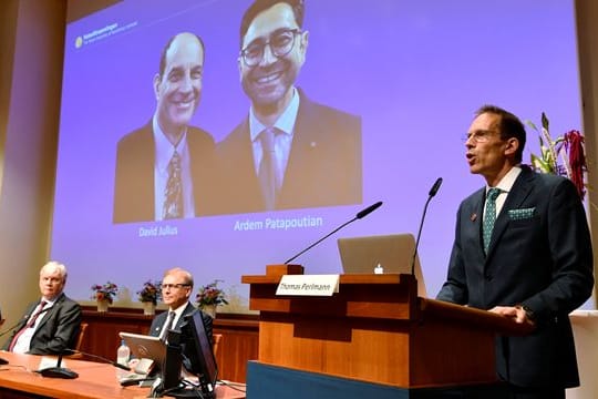 Thomas Perlmann, Sekretär der Nobelversammlung und des Nobelkomitees, verkündet die Gewinner des Nobelpreises für Physiologie oder Medizin 2021.