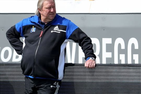 Horst Hrubesch hat ein Umdenken bei der deutschen Stürmerausbildung gefordert.