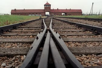 Neun hölzerne Baracken in der NS-Gedenkstätte Auschwitz-Birkenau sind mit Parolen auf Englisch und Deutsch besprüht worden.