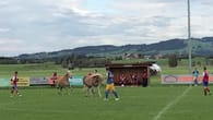 Pferde stürmen Fußballplatz