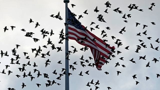 Eine US-Delegation will sich in Doha mit hochrangigen Vertretern der Taliban treffen. Eine US-Delegation will sich in Doha mit hochrangigen Vertretern der Taliban treffen.