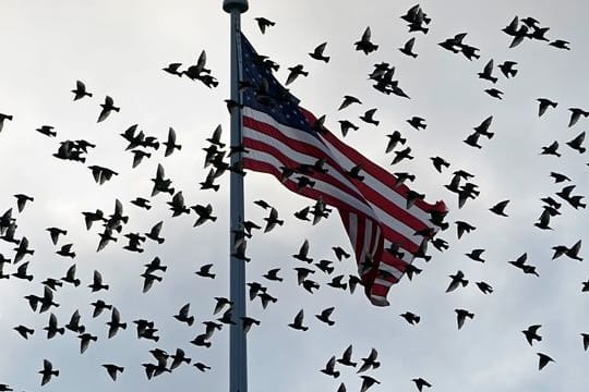 Eine US-Delegation will sich in Doha mit hochrangigen Vertretern der Taliban treffen.