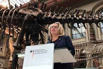 Bundesumweltministerin Svenja Schulze (SPD).