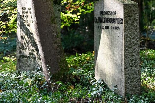 Das Grab des jüdischstämmigen Wissenschaftlers Max Friedlaender.