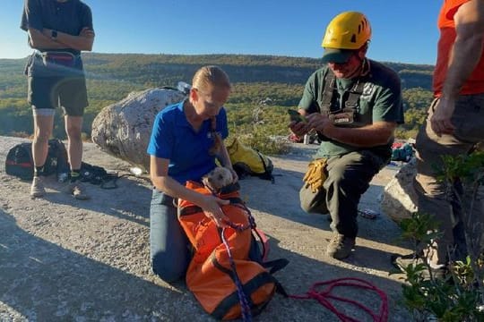 Höhlenretter und Hund im Rettungsrucksack: Nach fünf Tagen konnte der Hund aus einer Felsspalte gerettet werde.