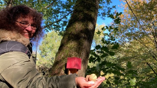 Petra Lieser aus Trier an einer "Eichhörnchenbrücke", die Mitarbeiter der Stadt auf ihre Anfrage angelegt haben. Petra Lieser aus Trier an einer "Eichhörnchenbrücke", die Mitarbeiter der Stadt auf ihre Anfrage angelegt haben.