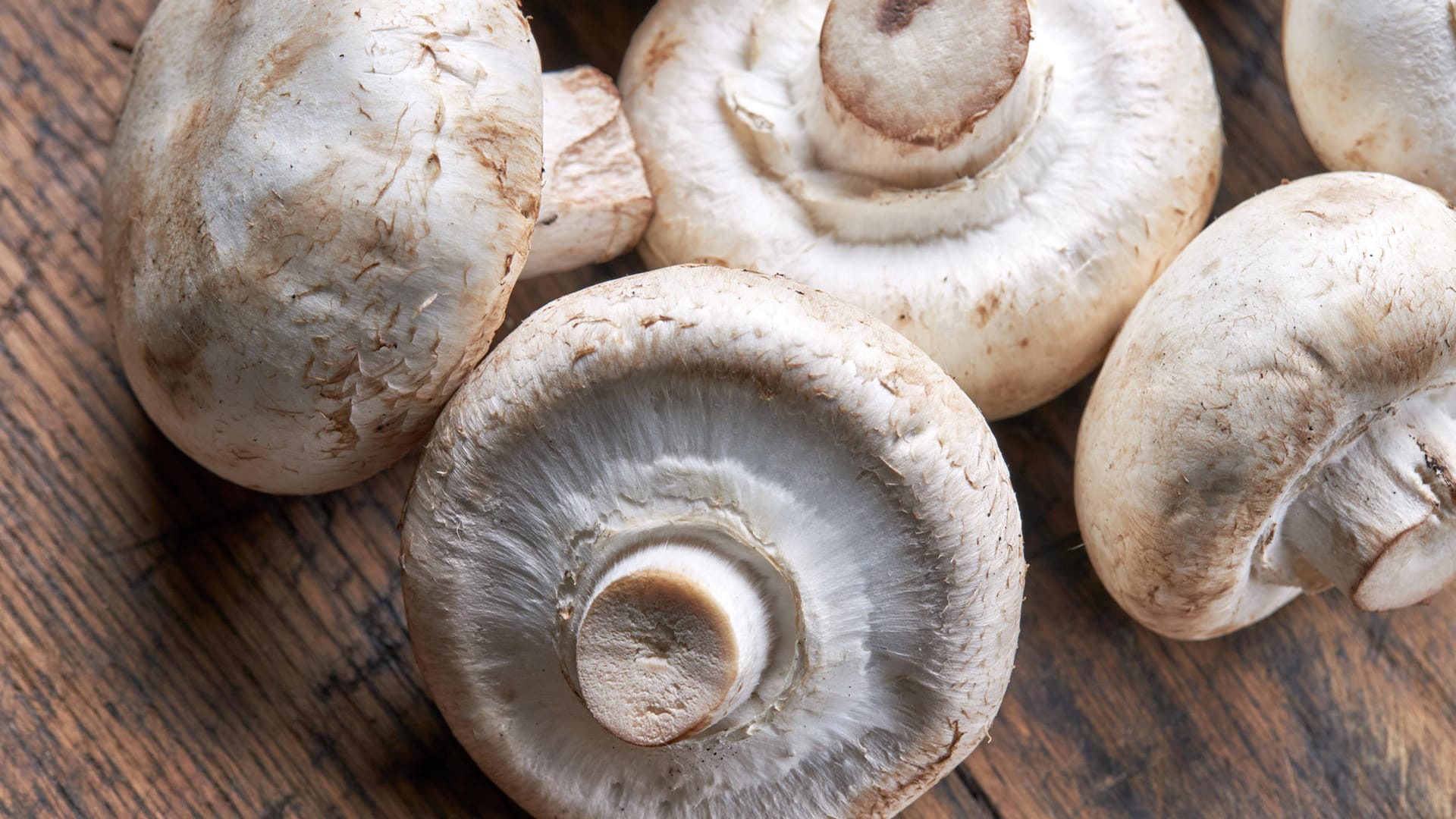 Pilze: Bei Kulturchampignons aus dem Supermarkt ist der Vitamingehalt oft gering.