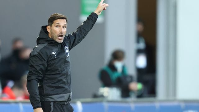 Der Trainer des Bundesliga-Aufsteigers SpVgg Greuther Fürth: Stefan Leitl. Der Trainer des Bundesliga-Aufsteigers SpVgg Greuther Fürth: Stefan Leitl.