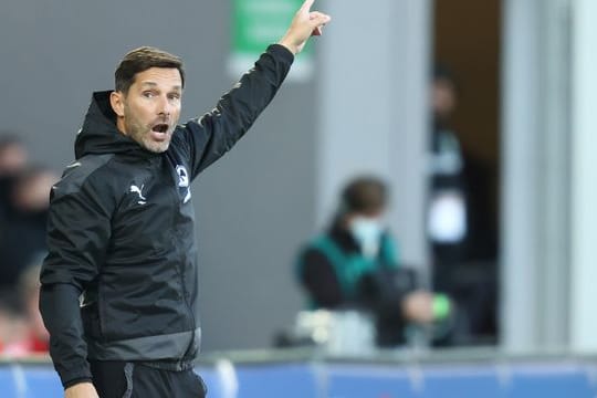 Der Trainer des Bundesliga-Aufsteigers SpVgg Greuther Fürth: Stefan Leitl.