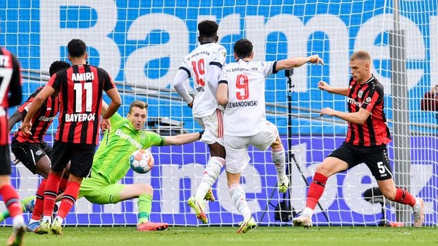 Stürmerstar Robert Lewandowski (2. Stürmerstar Robert Lewandowski (2.