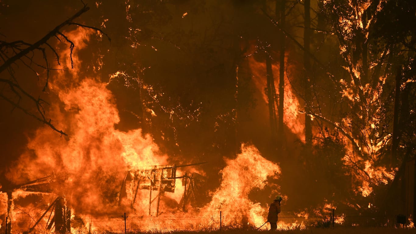 Feuerwehrmänner in New South Wales versuchen, das Inferno in den Griff zu bekommen: Die Bilder der Buschfeuer in Australien im Dezember 2019 schockierten weltweit.