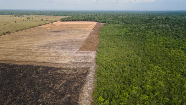 Eine verbrannte und abgeholzte Fläche in einem Amazonas-Gebiet. Eine verbrannte und abgeholzte Fläche in einem Amazonas-Gebiet.